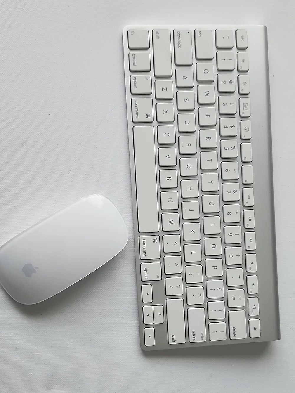 Bundle Apple A1314 Wireless Keyboard & A1296 Magic Mouse Bluetooth.